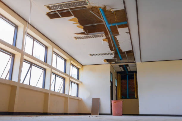 Best 24-hour water damage restoration  in Genoa, OH