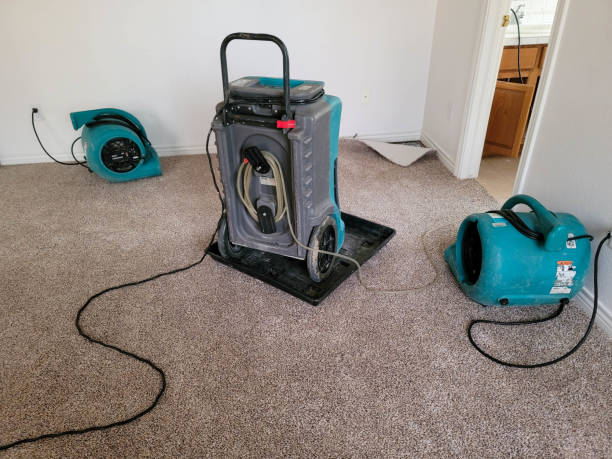 Best Commercial water damage restoration  in Genoa, OH