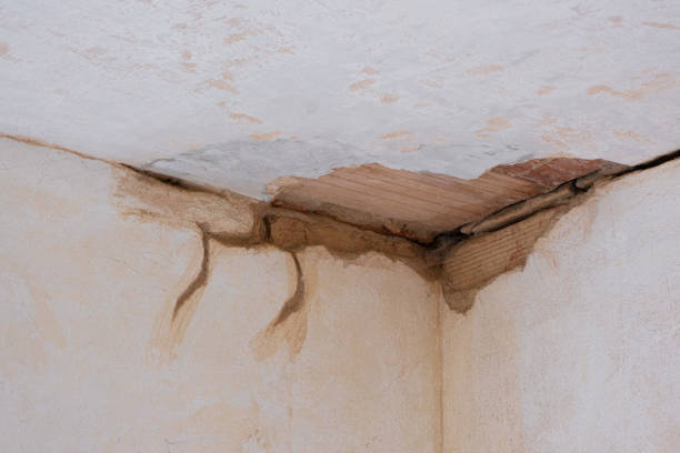  Genoa, OH Water damage restoration Pros