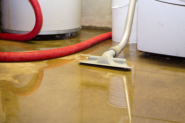 Best Residential water damage restoration  in Genoa, OH